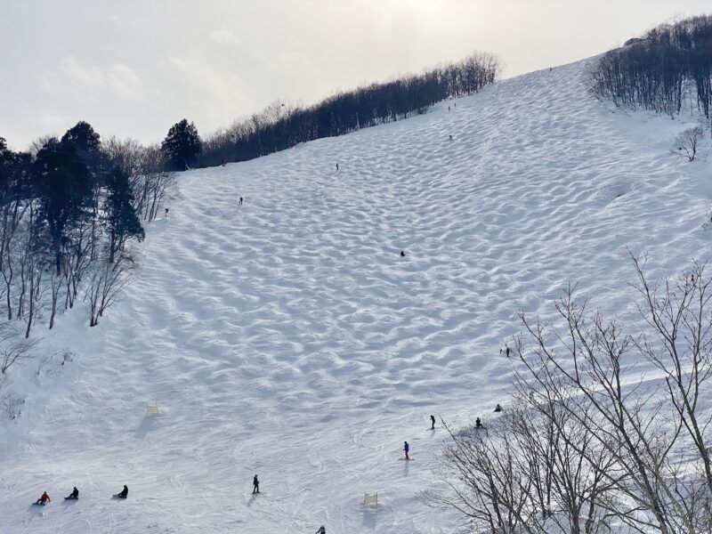 Happo-One, Japan. Image © PlanetSKI